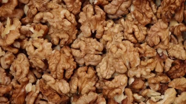 Очищенный Орех Крупным Планом Орехи Текстуры Фон Вращения Ореха — стоковое видео