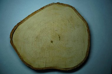 Çemberleri ve çatlakları olan bir ağaç gövdesi.