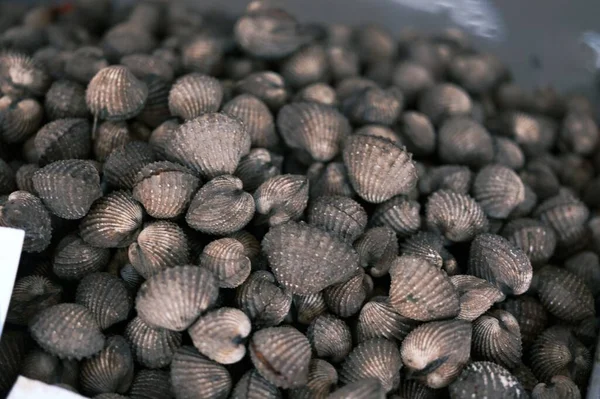 Midye Midye Taze Çiğ Kabuklu Deniz Ürünleri Pazarda Satılık Midye — Stok fotoğraf