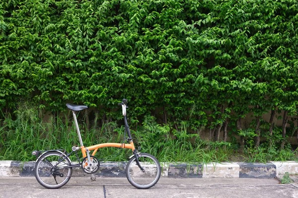Orange Bicycle Park Front Tree Wall — Stockfoto