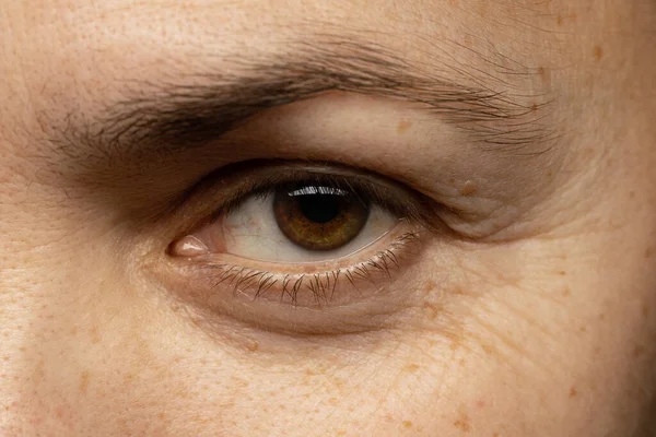 Macro Photo Close Female Brown Eyes Middle Aged European Clear — Fotografia de Stock