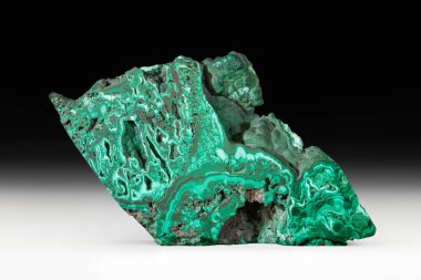 Doğal makro taş malakit, siyah arka planda bir mineral. Rusya 'nın yarı değerli taşları.
