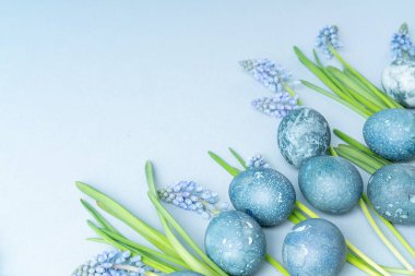 Gri mavi renkli paskalya yumurtaları ve gri-mavi arka planda muscari çiçekleri. Metin için boşluk.