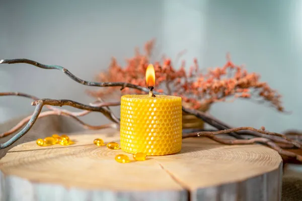 Composition Hand Made Wax Candle Branches Dead Wood Wooden Saw — Stock Photo, Image