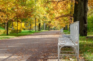 Alexander Park Sonbaharda, Puşkin (Tsarskoe Selo), St. Petersburg, Rusya