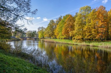 Alexander Park Sonbaharda, Puşkin (Tsarskoe Selo), St. Petersburg, Rusya