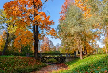 Alexander Park Sonbaharda, Puşkin (Tsarskoe Selo), St. Petersburg, Rusya