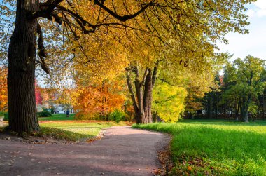 Alexander Park Sonbaharda, Puşkin (Tsarskoe Selo), St. Petersburg, Rusya
