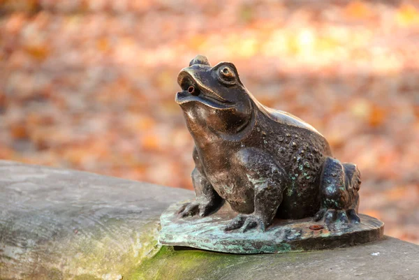 一只有特写的青铜青蛙在俄罗斯圣彼得堡圣尼古拉斯大教堂附近的公园里 青蛙男孩 的源头 — 图库照片