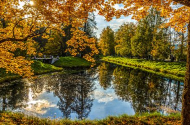 Alexander Park Sonbaharda, Puşkin (Tsarskoe Selo), St. Petersburg, Rusya