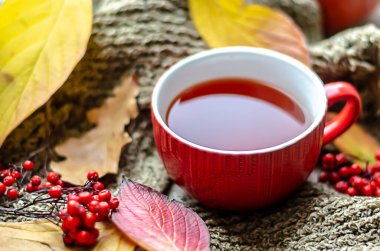 Siyah çay, sonbahar yaprakları ve gri bir eşarbın üzerinde duran yaban mersini.