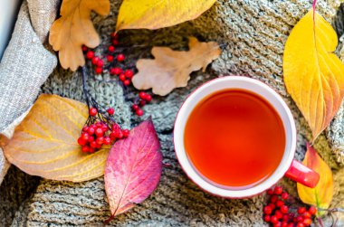 Siyah çay, sonbahar yaprakları ve gri bir eşarbın üzerinde duran yaban mersini.