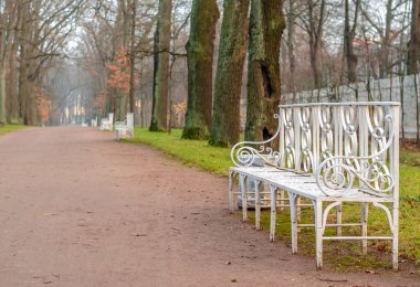 Alexander Park Sonbaharda, Puşkin (Tsarskoe Selo), St. Petersburg, Rusya