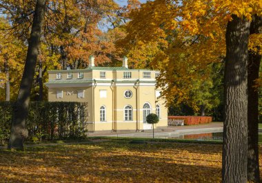 Catherine Park Sonbaharda, Tsarskoe Selo (Puşkin), St. Petersburg, Rusya