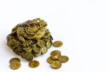 Feng Shui 'nin sembolü. Para kurbağası refahın ve maddi refahın en yaygın sembollerinden biridir.