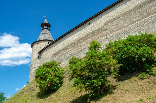 Pohled Věž Kutného Kostera Pskově Pskov Rusko — Stock fotografie