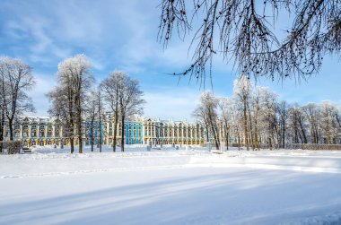 Catherine sarayı ve park kışın, Puşkin, Tsarskoe Selo, St. Petersburg, Rusya