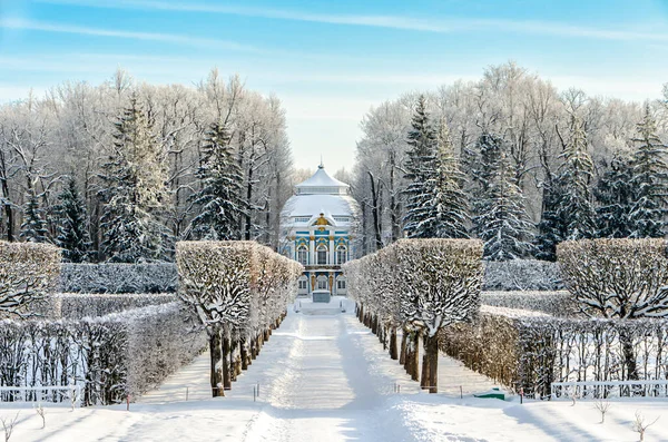 Catherine Park Zimą Puszkin Carskie Selo Petersburg Rosja — Zdjęcie stockowe