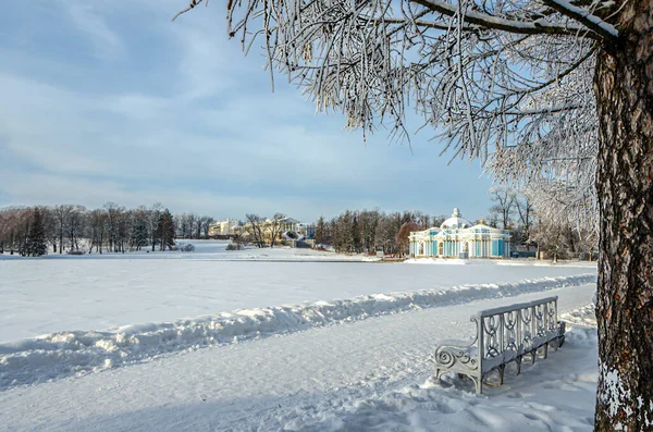 Catherine Park Zimą Puszkin Carskie Selo Petersburg Rosja — Zdjęcie stockowe