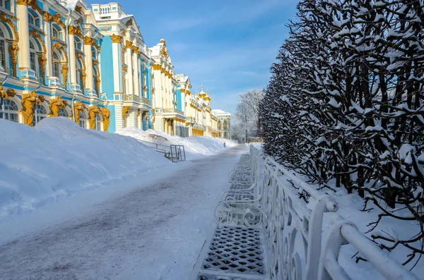 Pałac Katarzyny Park Zimą Puszkin Carskie Selo Petersburg Rosja — Zdjęcie stockowe