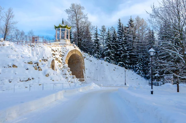 Grand Caprice Parku Zimowym Carskie Selo Puszkin Petersburg Rosja — Zdjęcie stockowe