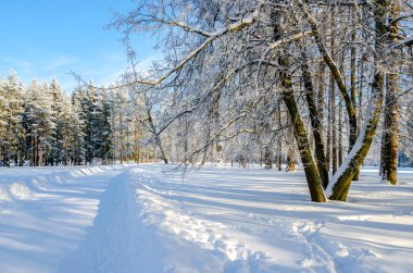 Karda Alexander Park, Puşkin (Tsarskoe Selo), St. Petersburg, Rusya