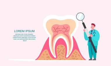Büyük Beyaz Diş Hekimliği Kliniği 'nin Diş Hekimliği. Tıp Doktoru Stomatoloji' de intraoral ayna, diş yansıtıcısı ile çalışıyor. Ağız Cerrahisi Düz Çizgi Çizgi Çizim Vektör İllüzyonu