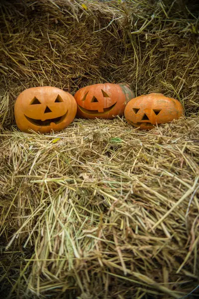 Cadılar Bayramı için oyulmuş olgun turuncu balkabaklarının samanların üzerinde, kopyalanacak bir yerde dikey pozu..