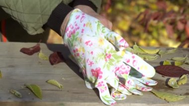 Bir kadın bahçe ve sebze bahçesi için eldiven giyip bahçede çalışıyor..