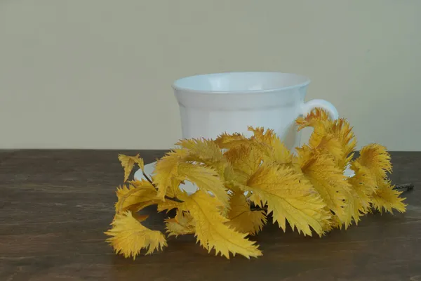               Beyaz bir fincan ve sonbahar renginde bir spirea filizi açık arkaplanda kahverengi bir masada..                 