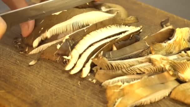 Nahaufnahme Des Schneidens Von Austernpilzen Die Der Natur Gesammelt Wurden — Stockvideo