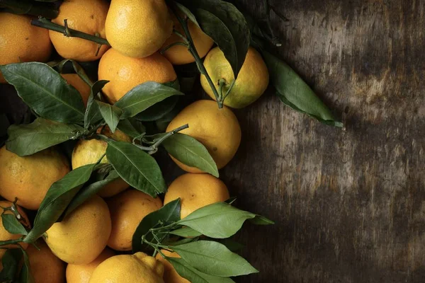 Gri-kahverengi arka planda yeşil yapraklı mandalinalar. Yeşil yapraklı turuncu mandalinalar.