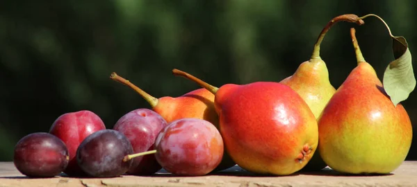 Ahşap bir rafta parlak kırmızı allık ve armutlar. Rossoshanskaya armutları çok güzeldir..
