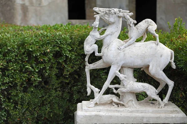 意大利埃尔科拉诺被狗袭击的鹿的雕像 — 图库照片