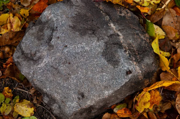 Uma Grande Pedra Granito Encontra Entre Folhas Outono Caídas — Fotografia de Stock