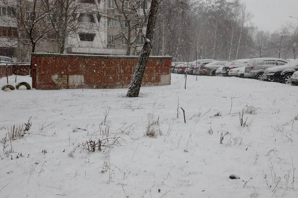 Winter Cityscape Lawn Cars Trees House Covered Snow Blizzard —  Fotos de Stock