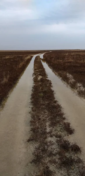 Flooded Dirt Road Field — Fotografia de Stock