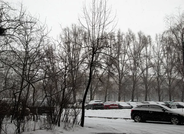 Snow Covered Winter City Road Parking Lot Trees Houses Distance — стоковое фото