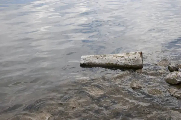 Water Small Waves Shoal Lie Rocks Old Log — Stock fotografie