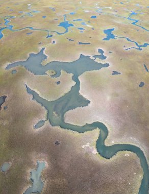 Pleasant Bay, Cape Cod, Massachusetts 'teki tuzlu bataklıkta dar kanallar var. Bu tür sulak arazi habitatları göç eden kuşlar, balıklar ve birçok deniz omurgasızı için hayati bir beslenme alanıdır..