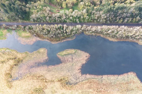 俄勒冈州哥伦比亚河流域的湿地为许多鸟类提供了觅食和筑巢的空间 — 图库照片