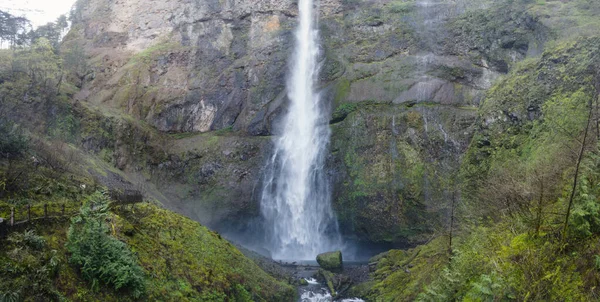 Multnomah Falls从悬崖上猛冲500英尺 跌入风景秀丽的俄勒冈州哥伦比亚河峡谷 这条狭窄的峡谷 哥伦比亚河流过 把俄勒冈和华盛顿隔开了 — 图库照片