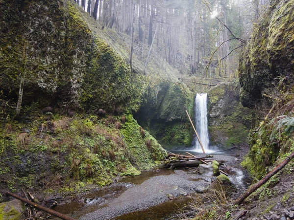 俄勒冈州北部的Multnomah Creek流经美丽的森林 流过美丽的瀑布 它最终陷进了俄勒冈州和华盛顿之间的哥伦比亚河峡谷 — 图库照片