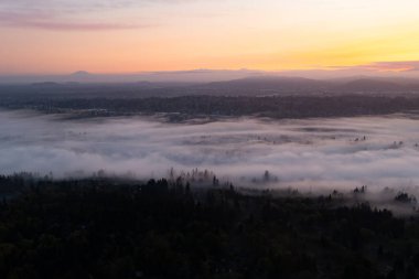 Huzurlu bir gün doğumu, Portland, Oregon yakınlarındaki Willamette Nehri 'ne yerleşmiş bir sis tabakasını aydınlatıyor. Kuzeybatı Pasifik bölgesinin nemli ve ılıman bir iklimi var..