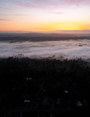 Huzurlu bir gün doğumu, Portland, Oregon yakınlarındaki Willamette Nehri 'ne yerleşmiş bir sis tabakasını aydınlatıyor. Kuzeybatı Pasifik bölgesinin nemli ve ılıman bir iklimi var..