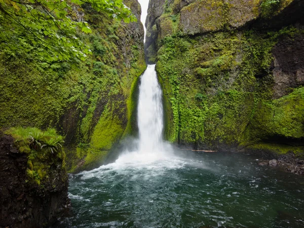 Wahclella Falls Flows Basalt Cliff Beautiful Slot Canyon Eventually Runs — Stock Photo, Image