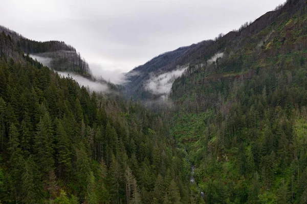Lage Wolken Drijven Een Bergachtige Vallei Columbia River Gorge Oregon — Stockfoto