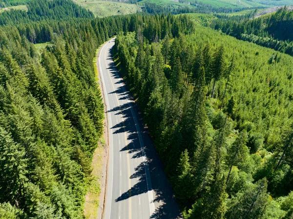 Uma Estrada Atravessa Uma Floresta Oregon Mais Das Florestas Oregon — Fotografia de Stock