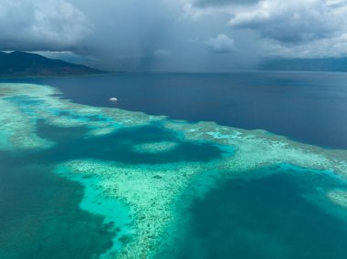 Flores, Endonezya 'nın kuzeyindeki Pulau Besar' da sağlıklı bir mercan resifi gelişir. Bu bölge yüksek deniz biyolojik çeşitliliği ve muhteşem tüple dalış ve şnorkelle yüzme ile bilinir..