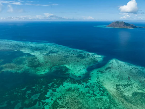 Flores Endonezya Nın Kuzeyindeki Pulau Besar Sağlıklı Bir Mercan Resifi — Stok fotoğraf